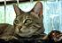 Click image for larger version. 

Name:	Eve 7 May 12 2012.JPG 
Views:	51 
Size:	305.3 KB 
ID:	53536