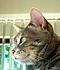 Click image for larger version. 

Name:	Eve 5 May 12 2012.JPG 
Views:	55 
Size:	393.0 KB 
ID:	53537