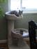 Click image for larger version. 

Name:	Paiz & Jax.bmp 
Views:	190 
Size:	900.1 KB 
ID:	53539