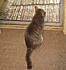 Click image for larger version. 

Name:	Carlito.JPG 
Views:	226 
Size:	224.5 KB 
ID:	53582