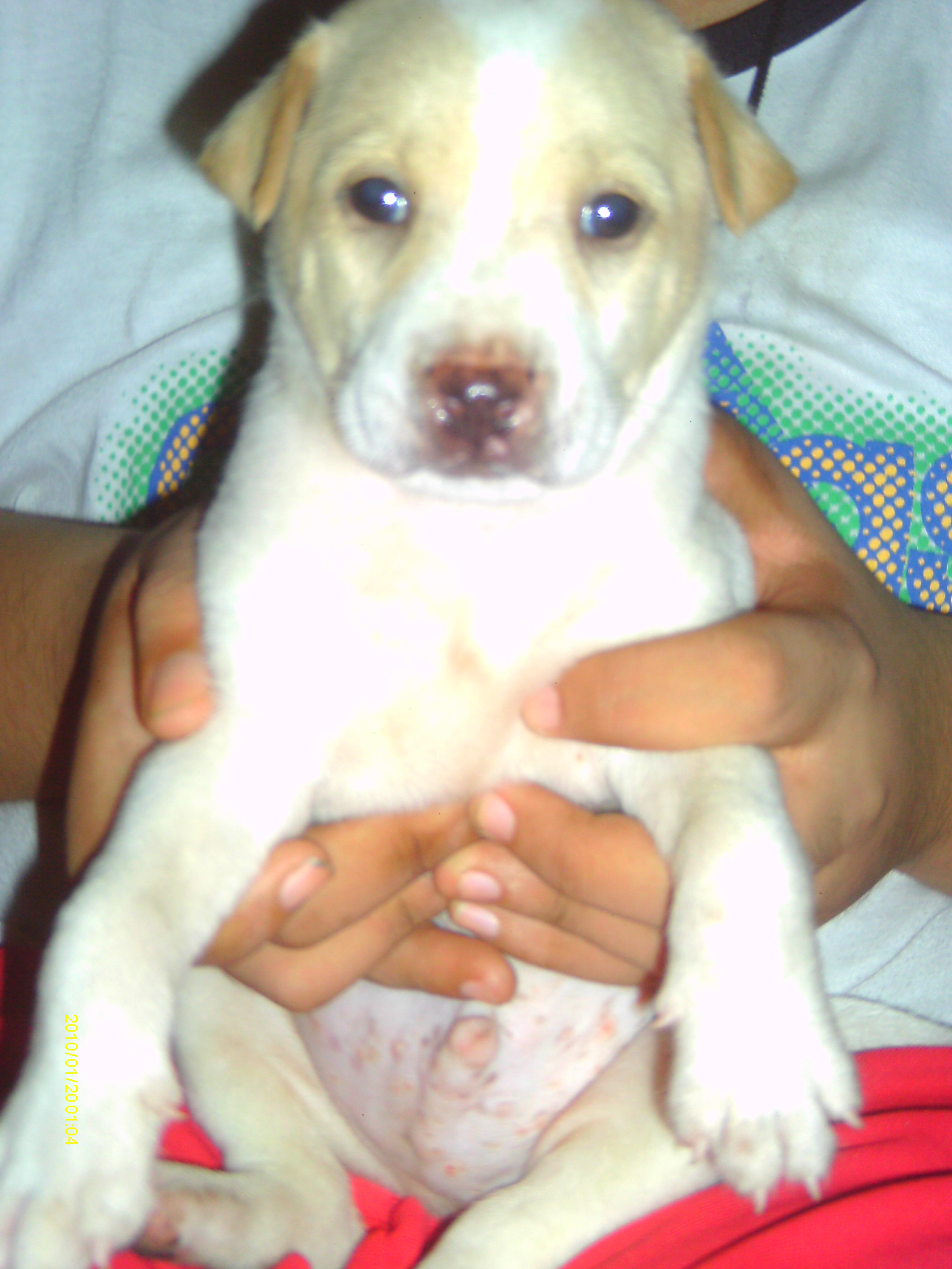 Name:  IMAG0009.JPG
Views: 2266
Size:  1,010.6 KB