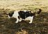 Click image for larger version. 

Name:	tonka outside.jpg 
Views:	73 
Size:	129.1 KB 
ID:	53619