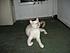 Click image for larger version. 

Name:	IMG_2325_4.JPG 
Views:	83 
Size:	67.7 KB 
ID:	53622