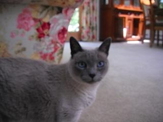Name:  DSCF0421.jpg
Views: 145
Size:  11.8 KB