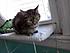 Click image for larger version. 

Name:	Frances1_diabetic.jpg 
Views:	78 
Size:	72.9 KB 
ID:	53640