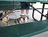 Click image for larger version. 

Name:	IMG_5776.JPG 
Views:	56 
Size:	481.7 KB 
ID:	53690