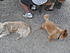 Click image for larger version. 

Name:	Image05272012153340.jpg 
Views:	55 
Size:	363.4 KB 
ID:	53697