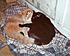 Click image for larger version. 

Name:	Blackie3.jpg 
Views:	54 
Size:	145.2 KB 
ID:	53756