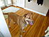 Click image for larger version. 

Name:	June 2012 004.jpg 
Views:	75 
Size:	1.10 MB 
ID:	53763