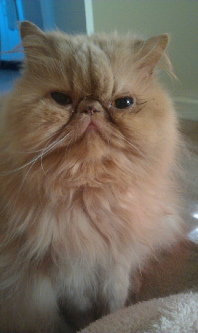 Name:  IMAG0501.jpg
Views: 129
Size:  63.7 KB