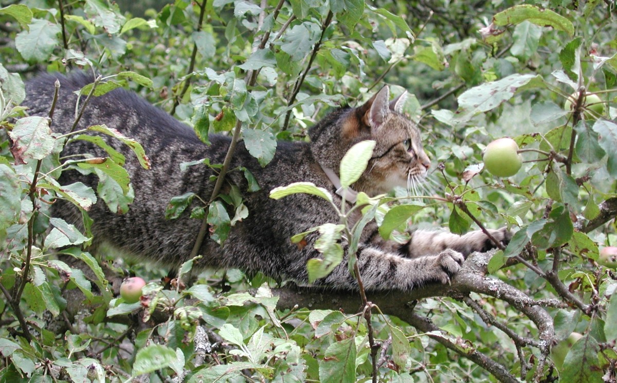 Murli 13 Jun 2012