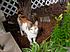 Click image for larger version. 

Name:	2012_077.JPG 
Views:	54 
Size:	163.6 KB 
ID:	53812