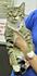 Click image for larger version. 

Name:	5496.JPG 
Views:	68 
Size:	53.0 KB 
ID:	53817