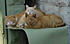 Click image for larger version. 

Name:	-1.jpg 
Views:	104 
Size:	130.4 KB 
ID:	53876