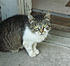 Click image for larger version. 

Name:	-5.jpg 
Views:	104 
Size:	167.4 KB 
ID:	53880