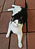 Click image for larger version. 

Name:	-7.jpg 
Views:	75 
Size:	173.7 KB 
ID:	53882