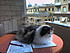 Photo 0647