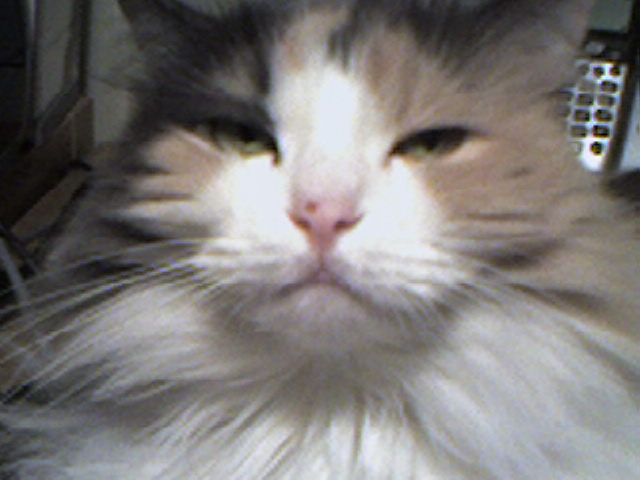 Photo 0589