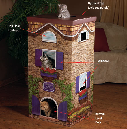 Name:  catcottage.jpg
Views: 825
Size:  52.0 KB