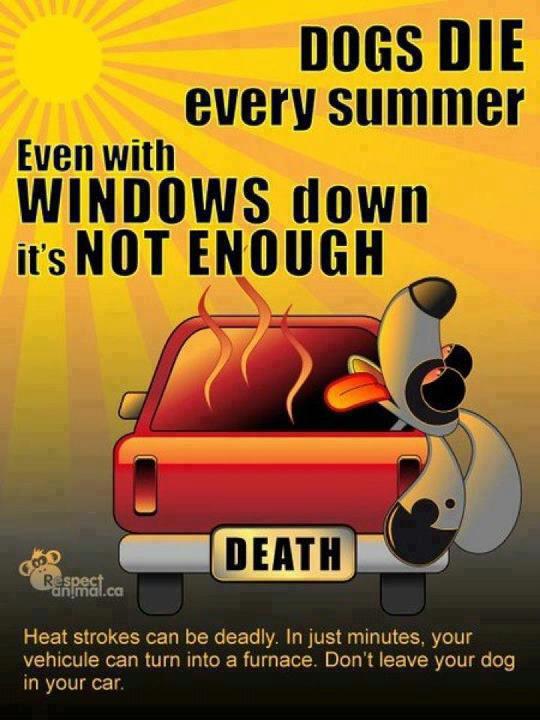 Name:  Summer Heat deadly in the car for animals.jpg
Views: 133
Size:  56.9 KB