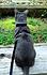 Click image for larger version. 

Name:	Eve 25 Jun 23 2012.JPG 
Views:	52 
Size:	366.0 KB 
ID:	53953