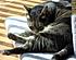Click image for larger version. 

Name:	Eve 1 Jun 24 2012.JPG 
Views:	73 
Size:	371.8 KB 
ID:	53959