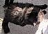 Click image for larger version. 

Name:	My Three June 23 2012 006.JPG 
Views:	112 
Size:	910.3 KB 
ID:	53974