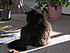 Click image for larger version. 

Name:	My Three June 23 2012 007.JPG 
Views:	108 
Size:	1.15 MB 
ID:	53975