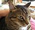 Click image for larger version. 

Name:	My Three June 23 2012 009.JPG 
Views:	114 
Size:	1.06 MB 
ID:	53976