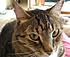 Click image for larger version. 

Name:	My Three June 23 2012 010.JPG 
Views:	108 
Size:	1.01 MB 
ID:	53977