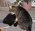 Click image for larger version. 

Name:	My Three June 23 2012 019.JPG 
Views:	101 
Size:	736.7 KB 
ID:	53978