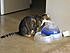 Click image for larger version. 

Name:	My Three June 23 2012 012.JPG 
Views:	128 
Size:	1.08 MB 
ID:	53980