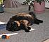 Click image for larger version. 

Name:	My Three June 23 2012 013.JPG 
Views:	100 
Size:	834.9 KB 
ID:	53981
