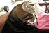 Click image for larger version. 

Name:	My Three June 23 2012 023.JPG 
Views:	96 
Size:	775.0 KB 
ID:	53986