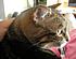 Click image for larger version. 

Name:	My Three June 23 2012 024.JPG 
Views:	124 
Size:	1.03 MB 
ID:	53987