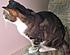 Click image for larger version. 

Name:	My Three June 23 2012 031.JPG 
Views:	102 
Size:	1.16 MB 
ID:	53989