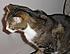 Click image for larger version. 

Name:	My Three June 23 2012 032.JPG 
Views:	118 
Size:	1,002.7 KB 
ID:	53990