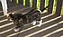 Click image for larger version. 

Name:	My Three June 23 2012 033.JPG 
Views:	92 
Size:	732.9 KB 
ID:	53991