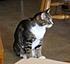 Click image for larger version. 

Name:	My Three June 23 2012 026.JPG 
Views:	95 
Size:	655.3 KB 
ID:	53992