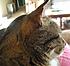 Click image for larger version. 

Name:	My Three June 23 2012 017.JPG 
Views:	100 
Size:	995.0 KB 
ID:	53995