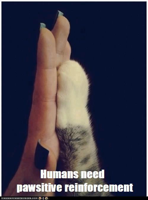 Name:  pawsitive reinforcement.jpg
Views: 98
Size:  28.5 KB