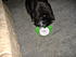 Click image for larger version. 

Name:	All mine.JPG 
Views:	93 
Size:	953.7 KB 
ID:	54018