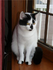 Click image for larger version. 

Name:	Inky.png 
Views:	55 
Size:	174.5 KB 
ID:	54026