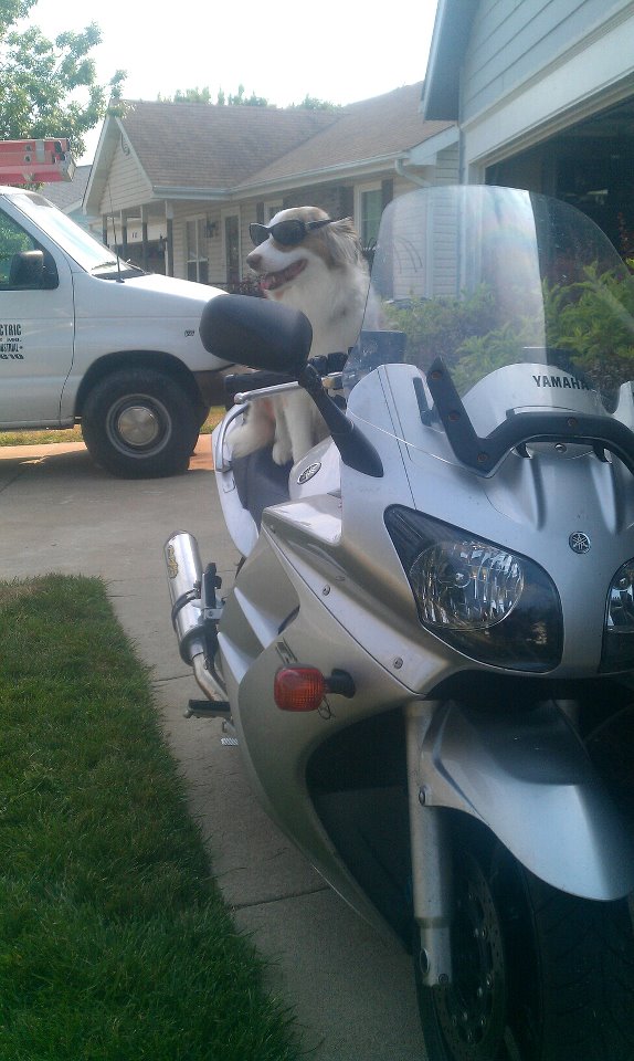 Name:  jamie-motorcycle.jpg
Views: 997
Size:  104.2 KB