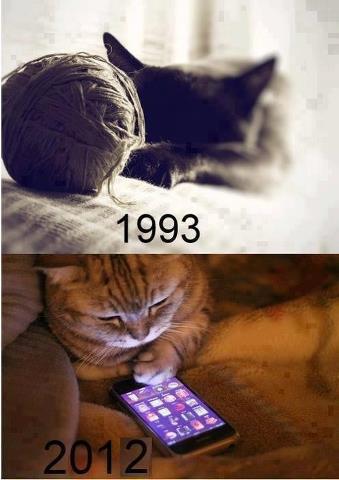 Name:  Catberry IPaw.jpg
Views: 108
Size:  24.8 KB