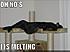 Click image for larger version. 

Name:	I is melting   Heat Wave.jpg 
Views:	188 
Size:	22.4 KB 
ID:	54119