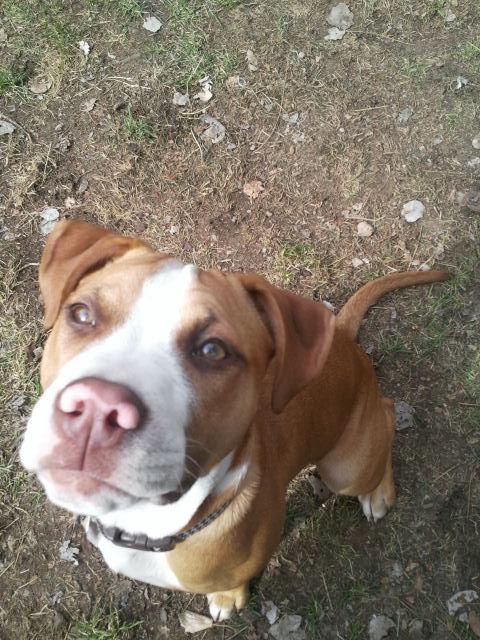 LolaApril2012