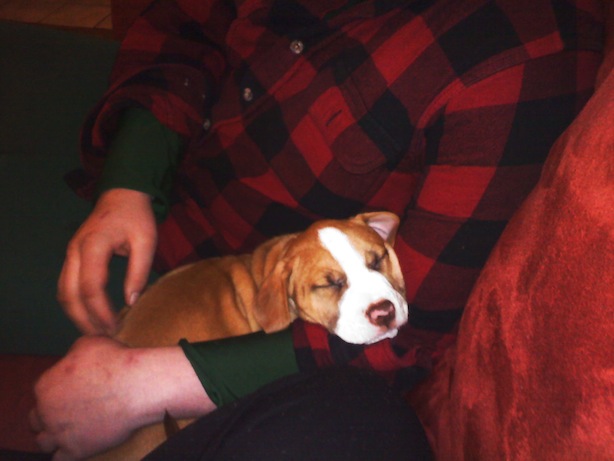 LolaDec2011