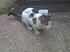 Click image for larger version. 

Name:	aurora.jpg 
Views:	61 
Size:	62.1 KB 
ID:	54220