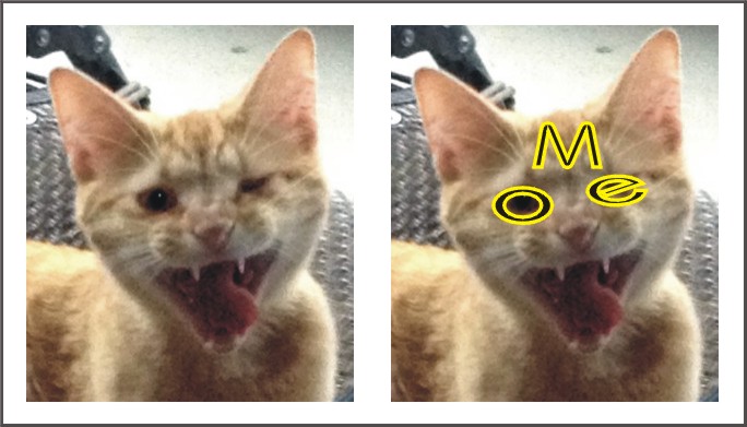 Name:  Moe2.jpg
Views: 107
Size:  60.5 KB